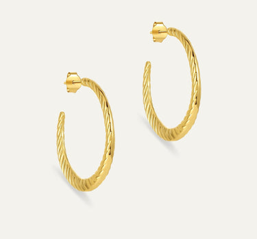 Bold Chubby Hoops