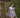 Alina Dress - Midnight Check