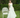 Sea Breeze Dress