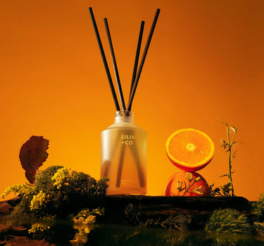 200ml Reed Diffuser Scent