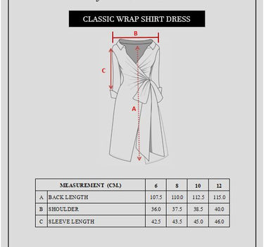 Linen Classic Wrap Shirt Dress