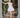 Calliope Dress